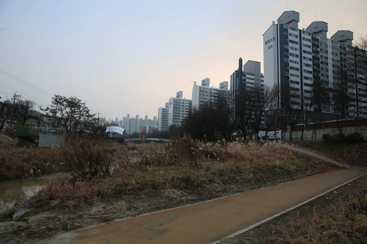 MG0A5583_новый размер.JPG