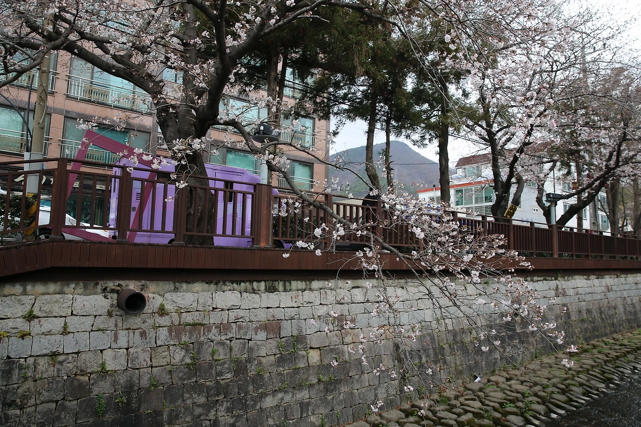 MG0A6179_новый размер.JPG