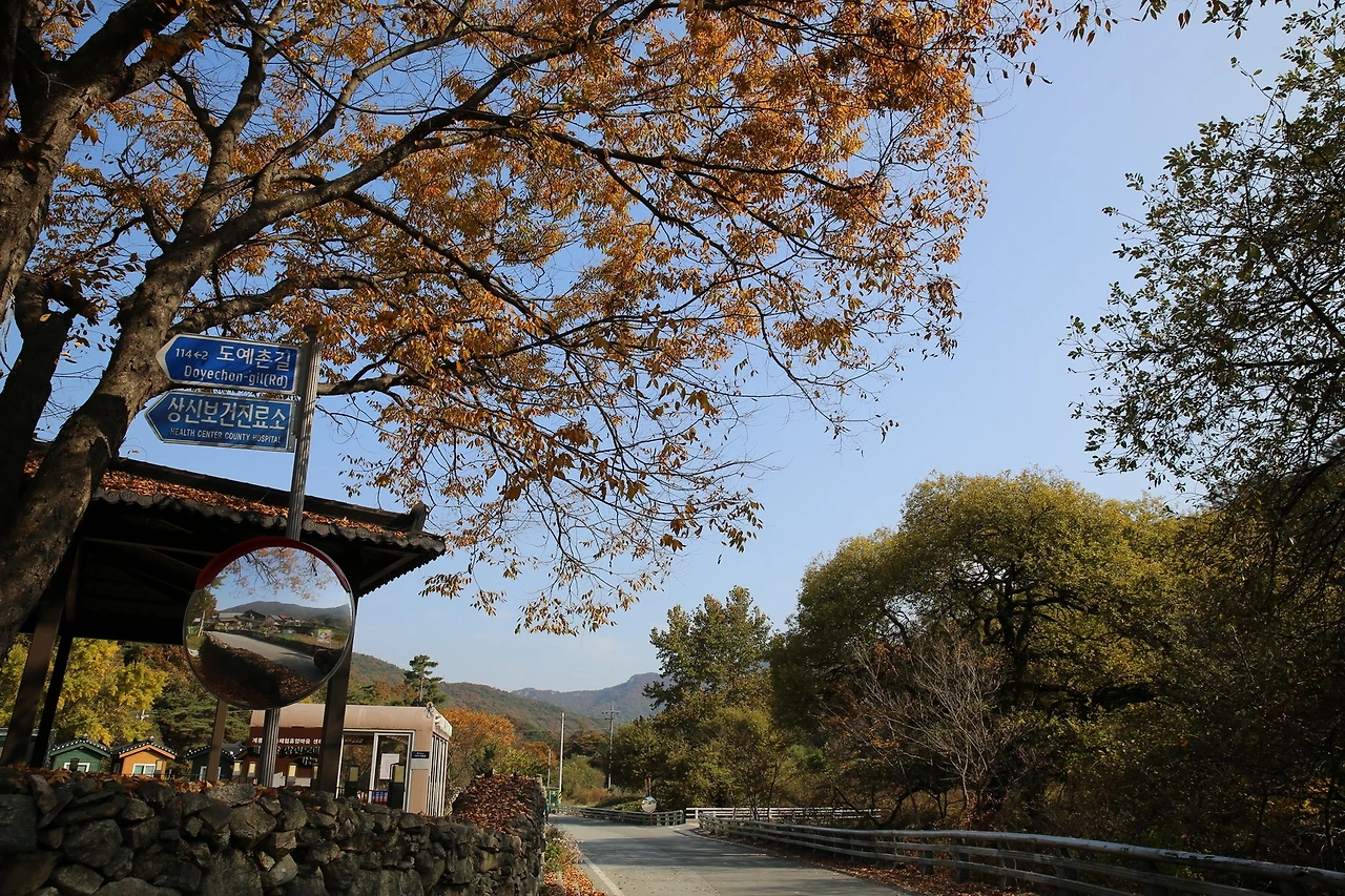 MG0A9139_новый размер.JPG