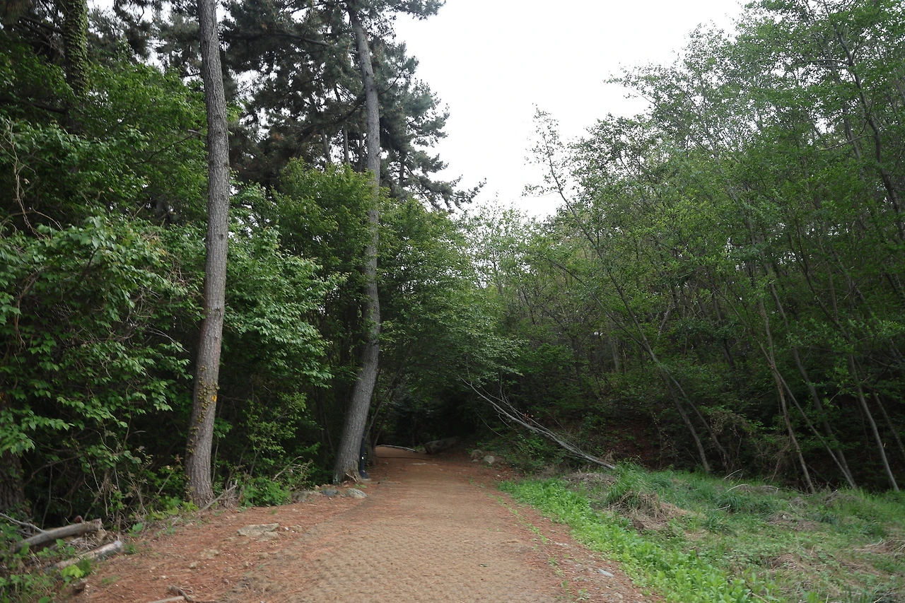 0R5A7811_новый размер.JPG