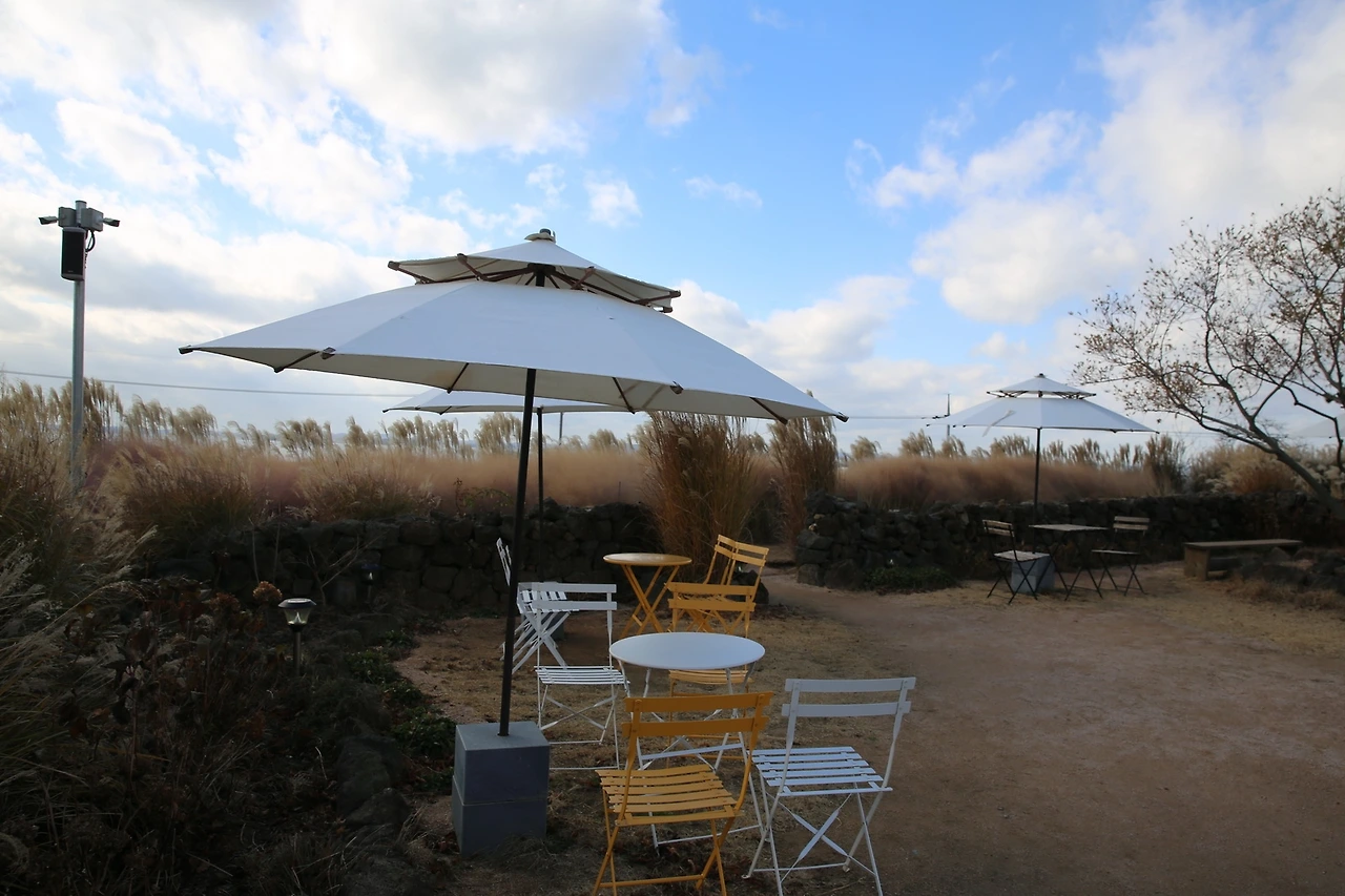 MG0A3187_новый размер.JPG