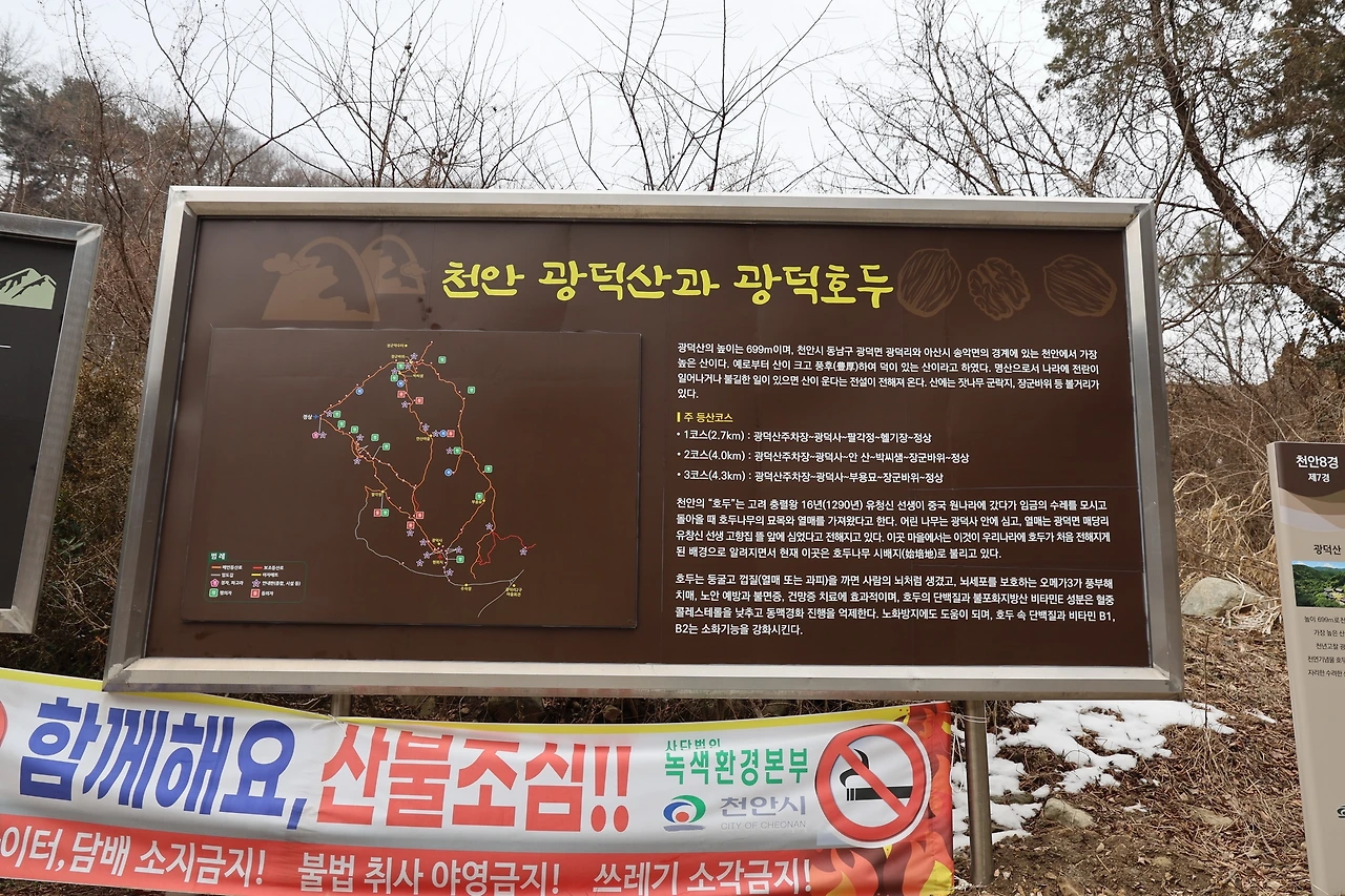 0R5A9553_новый размер.JPG