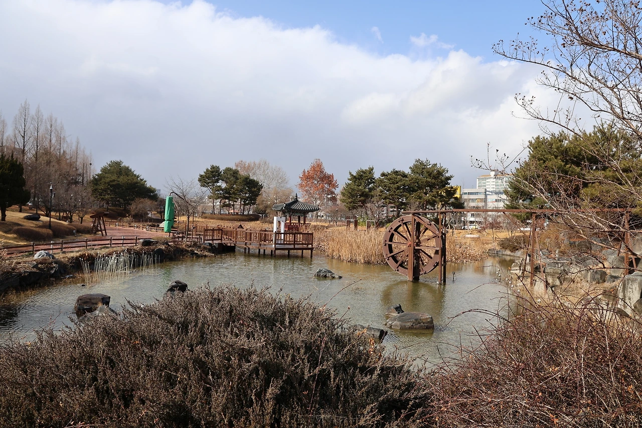 0R5A0094_новый размер.JPG