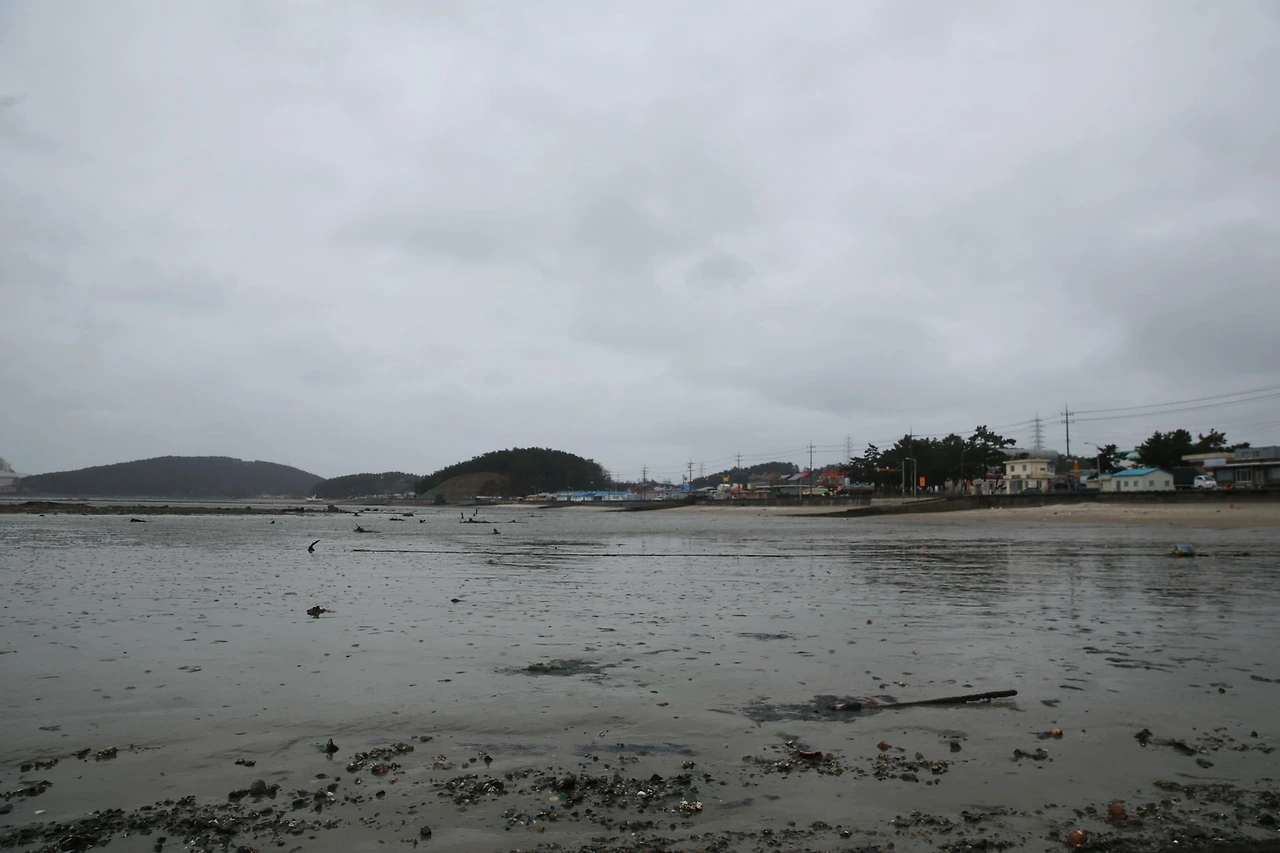 MG0A9384_новый размер_exposure.JPG