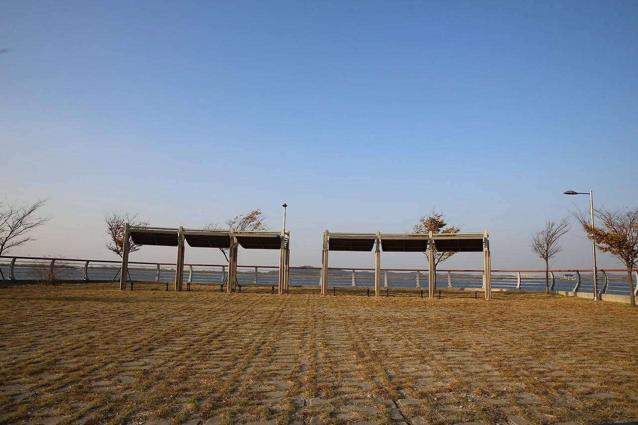 MG0A9010_новый размер.JPG