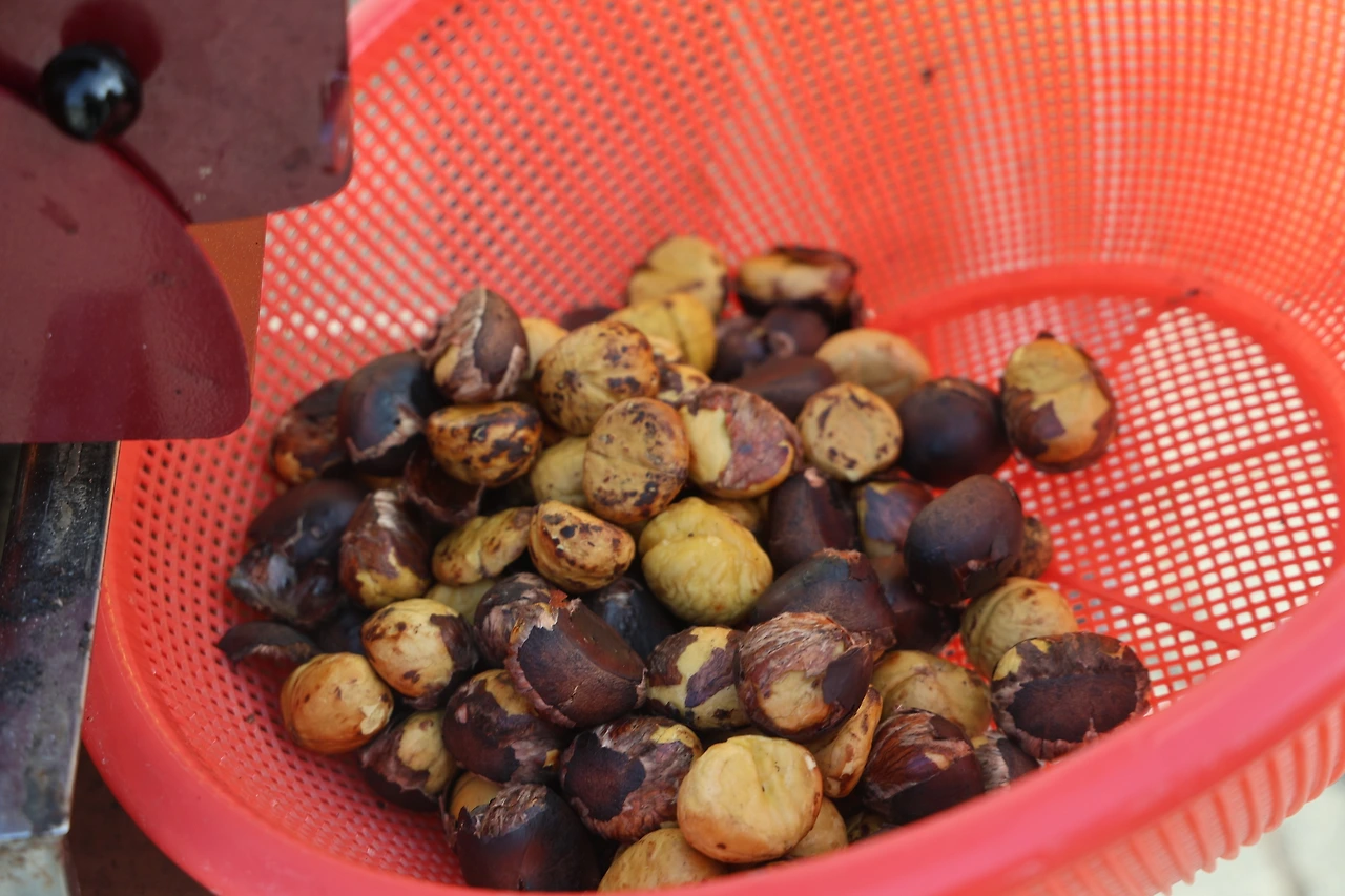 0R5A2466_новый размер.JPG