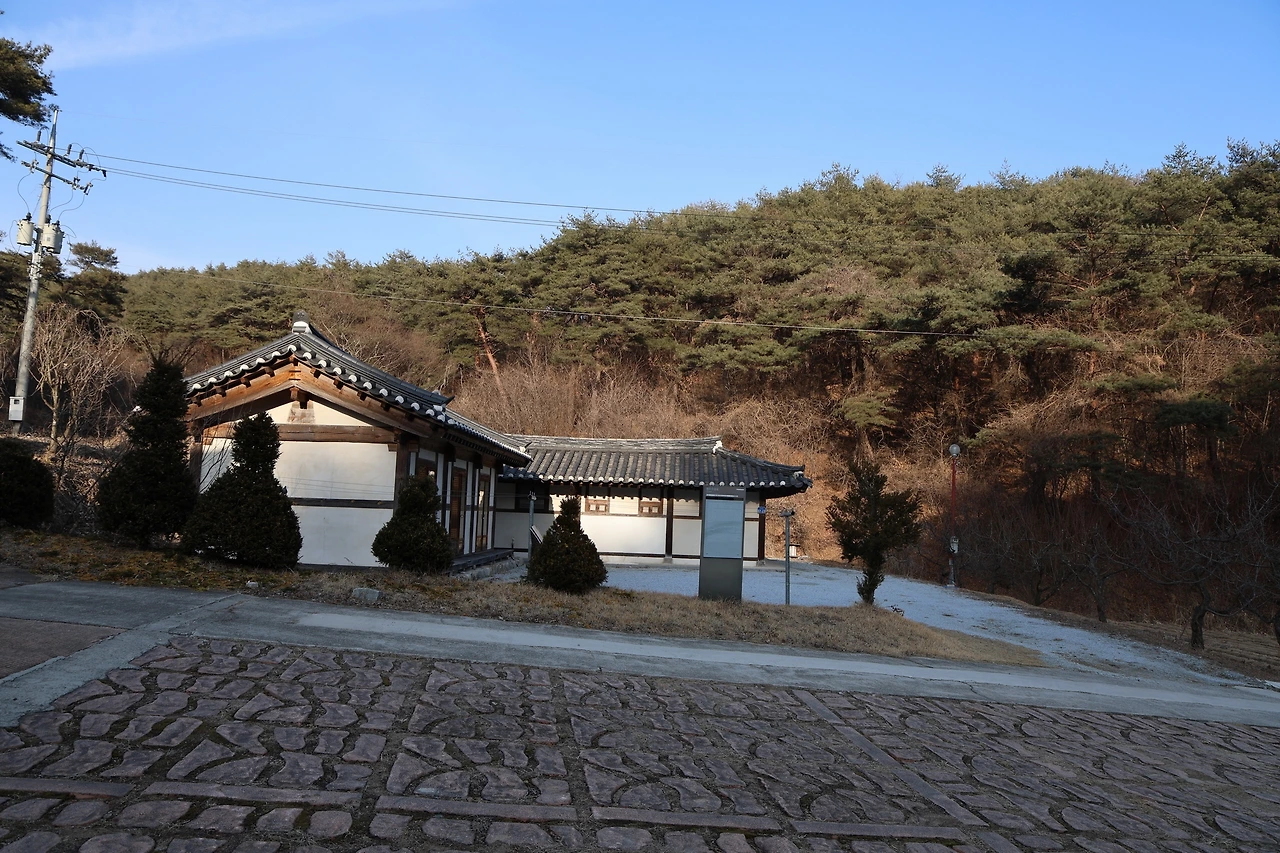 0R5A9263_новый размер.JPG