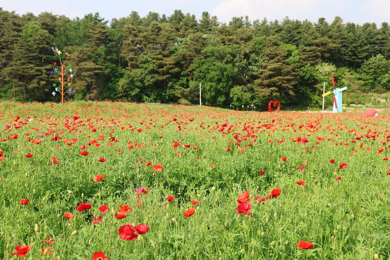 0R5A1529_новый размер.JPG