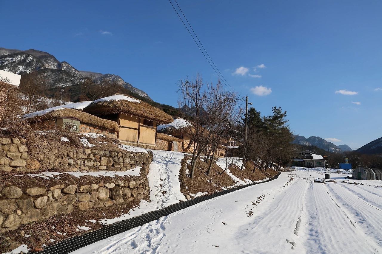 0R5A8162_новый размер.JPG