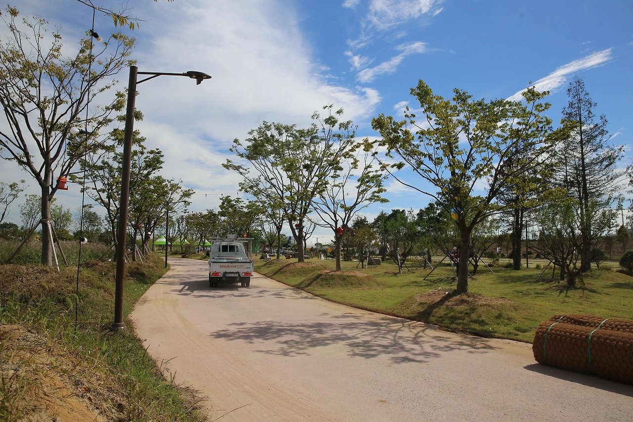 MG0A2739_новый размер.JPG