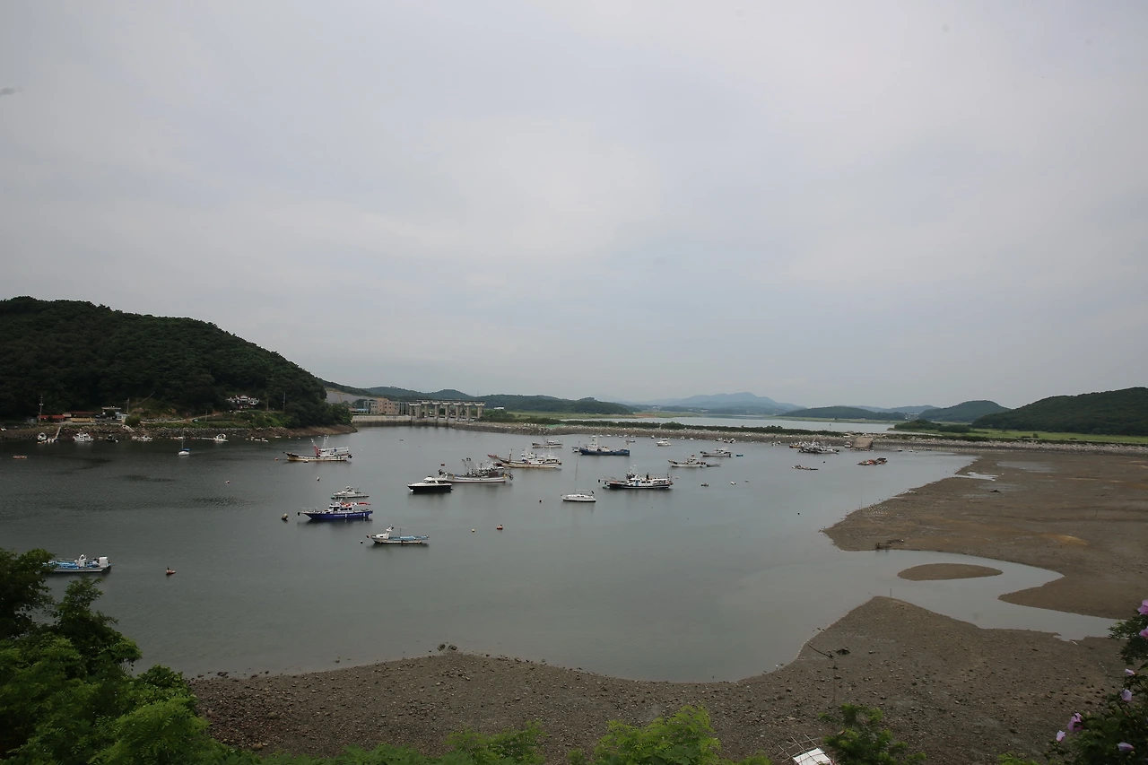 MG0A6077_новый размер.JPG