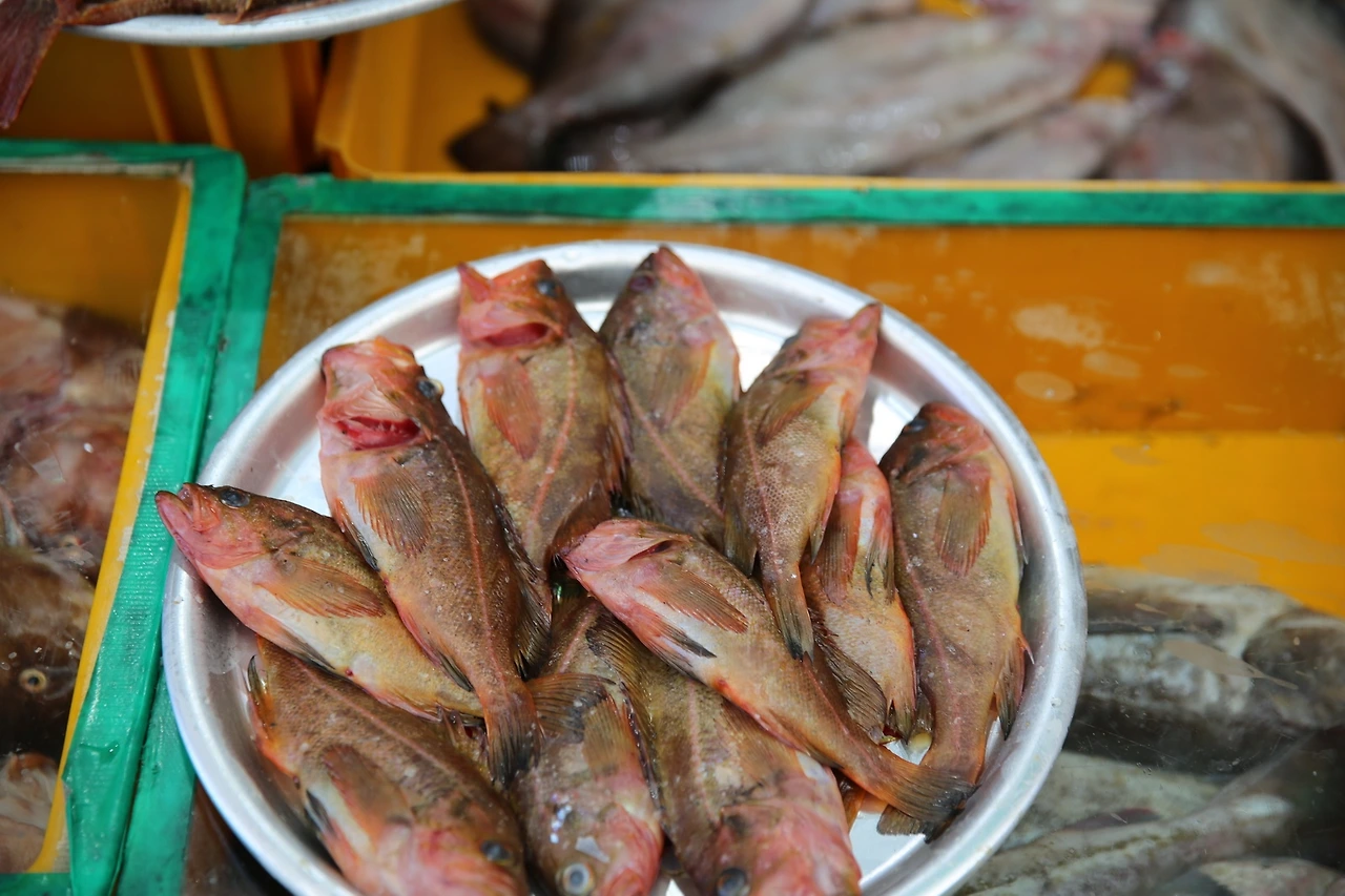 MG0A6470_новый размер.JPG