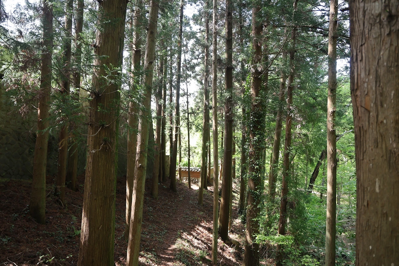 0R5A8345_новый размер.JPG