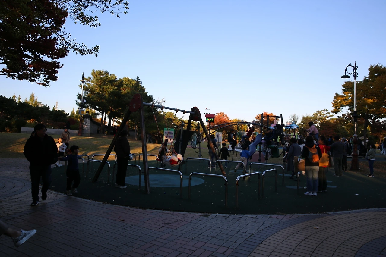 MG0A7232_новый размер.JPG