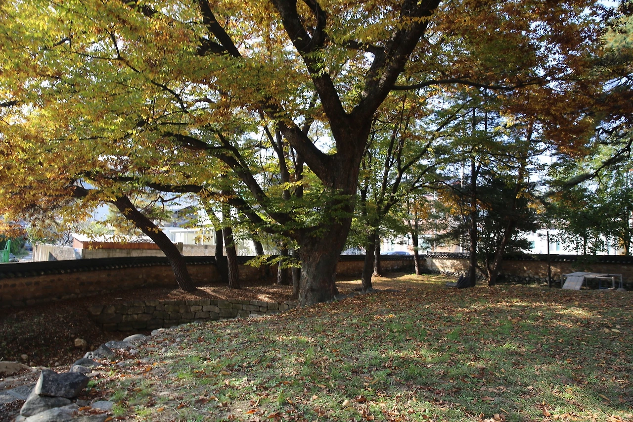 MG0A8333_новый размер.JPG