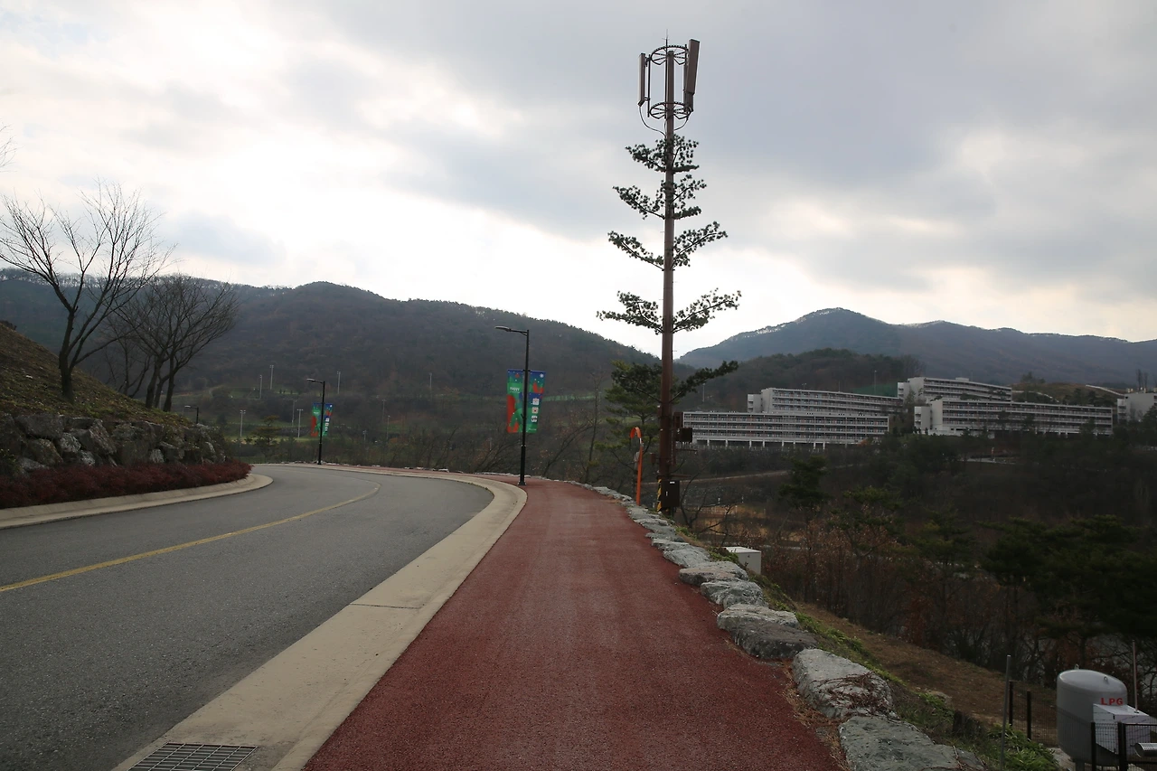 MG0A3104_новый размер.JPG