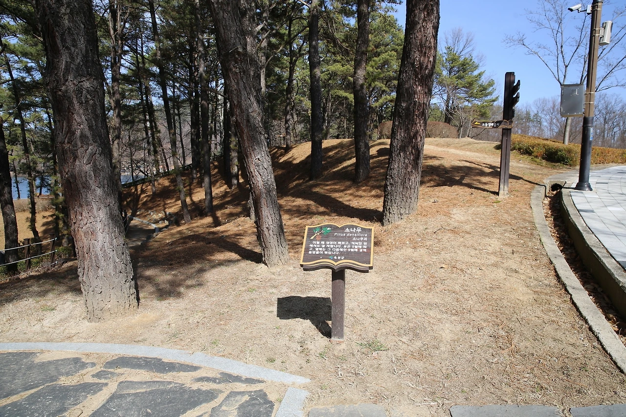 MG0A1840_новый размер.JPG