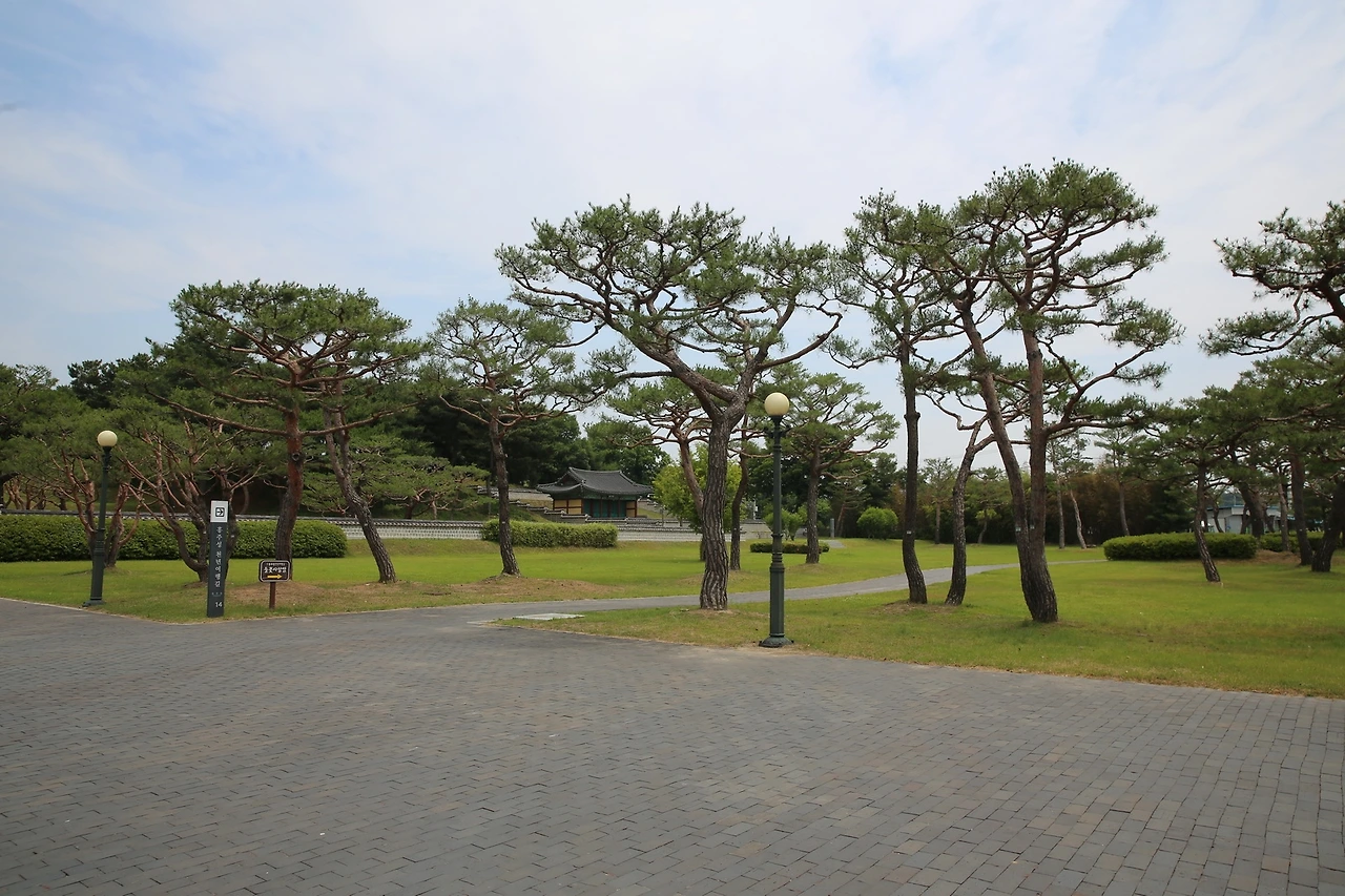 MG0A6170_новый размер.JPG