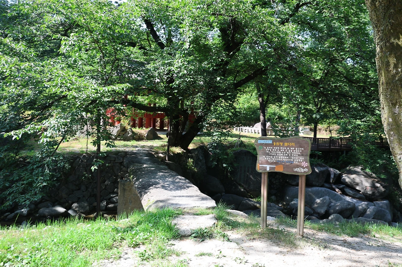 0R5A7913_новый размер.JPG