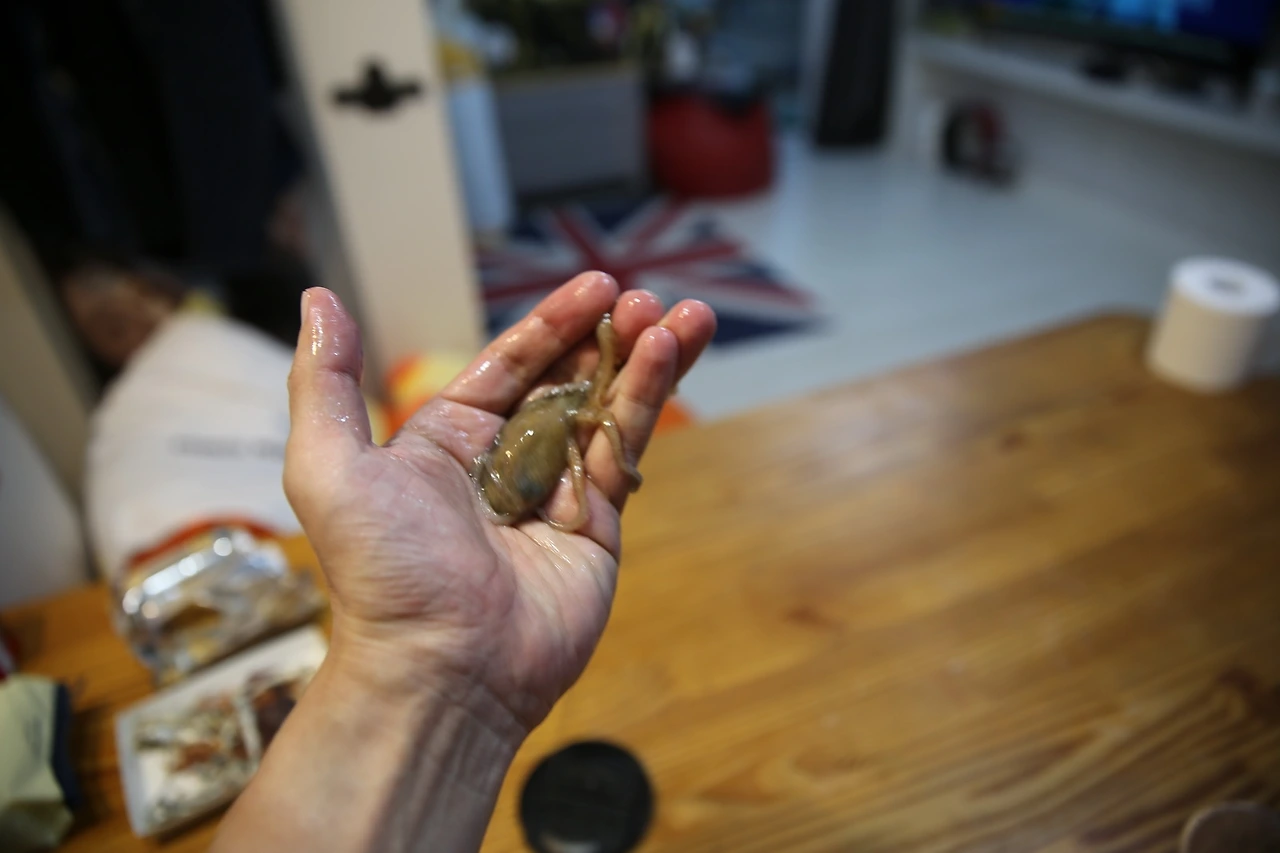 MG0A2422_новый размер.JPG