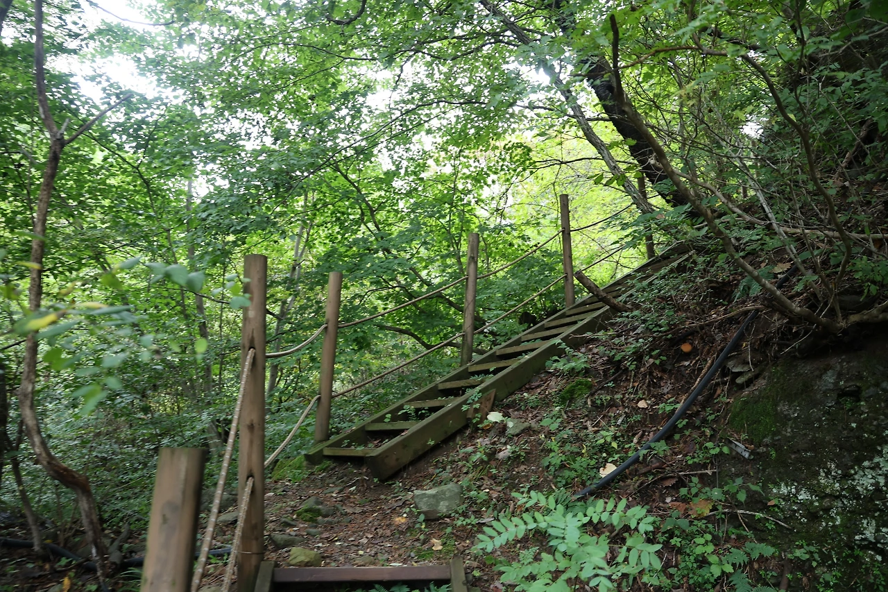 0R5A9786_новый размер.JPG