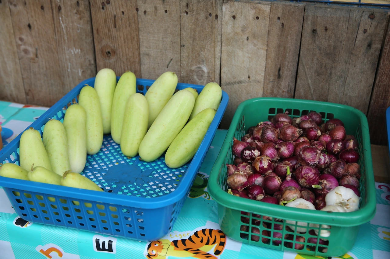 MG0A3507_resize - 복사본.JPG