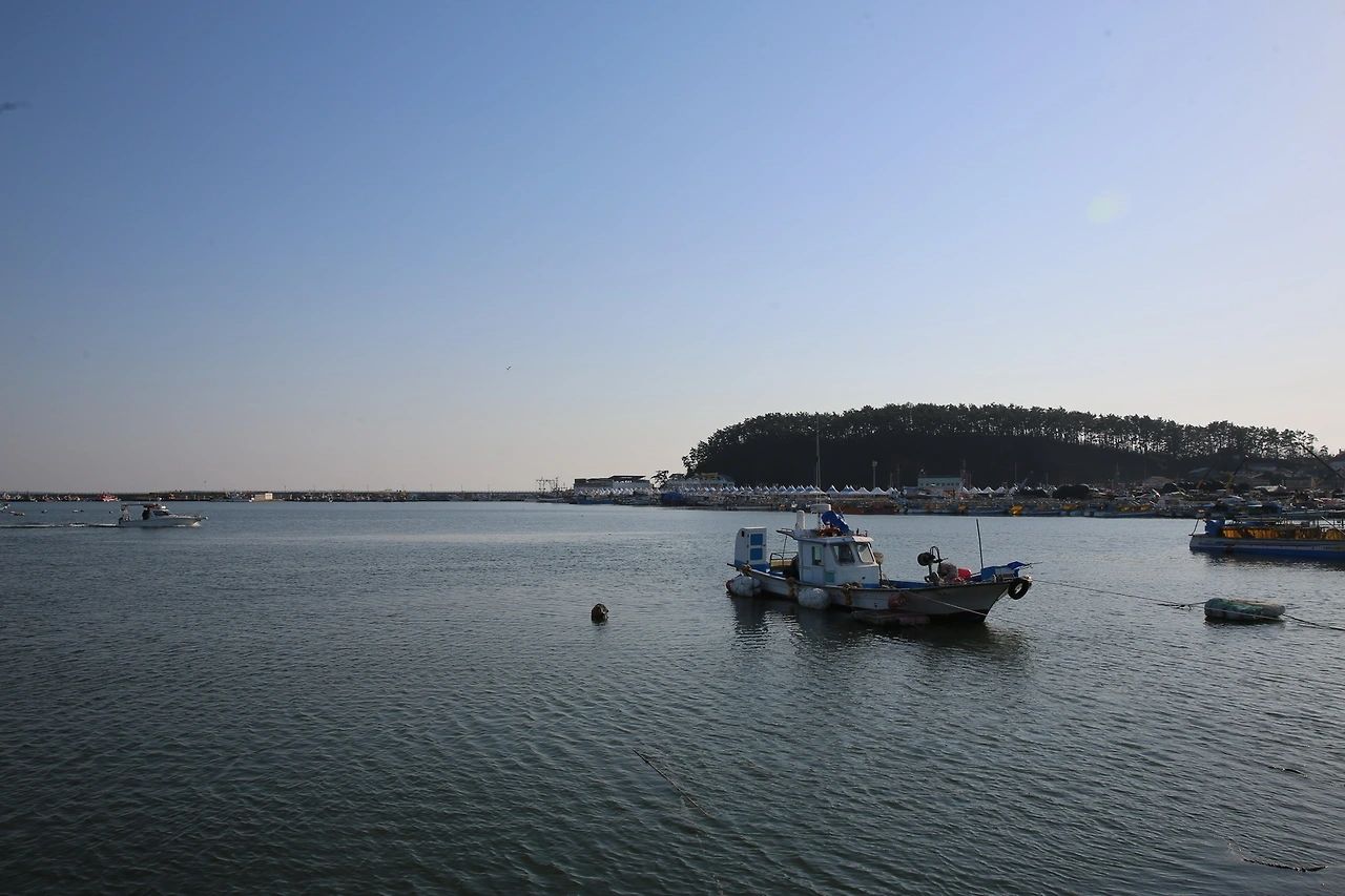 MG0A3549_новый размер.JPG