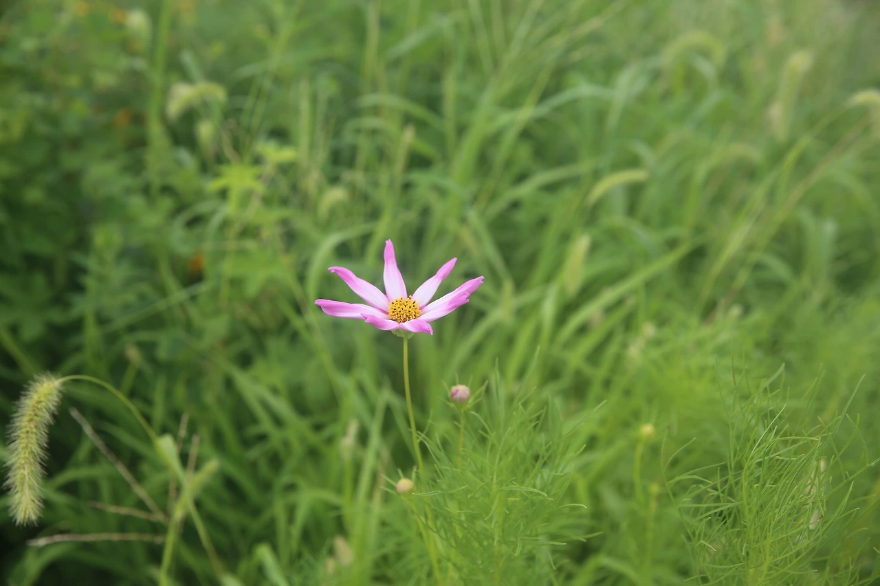 MG0A5221_новый размер.JPG