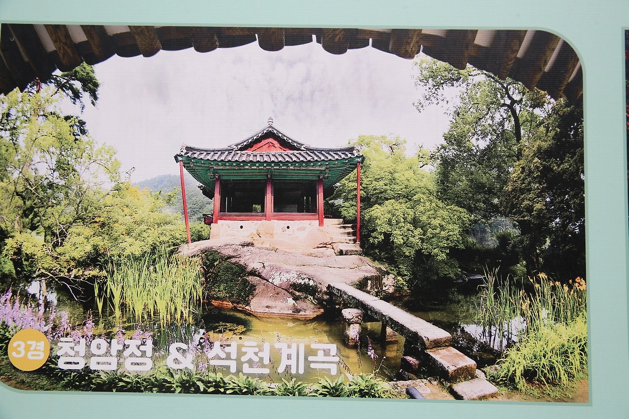 MG0A4713_новый размер.JPG