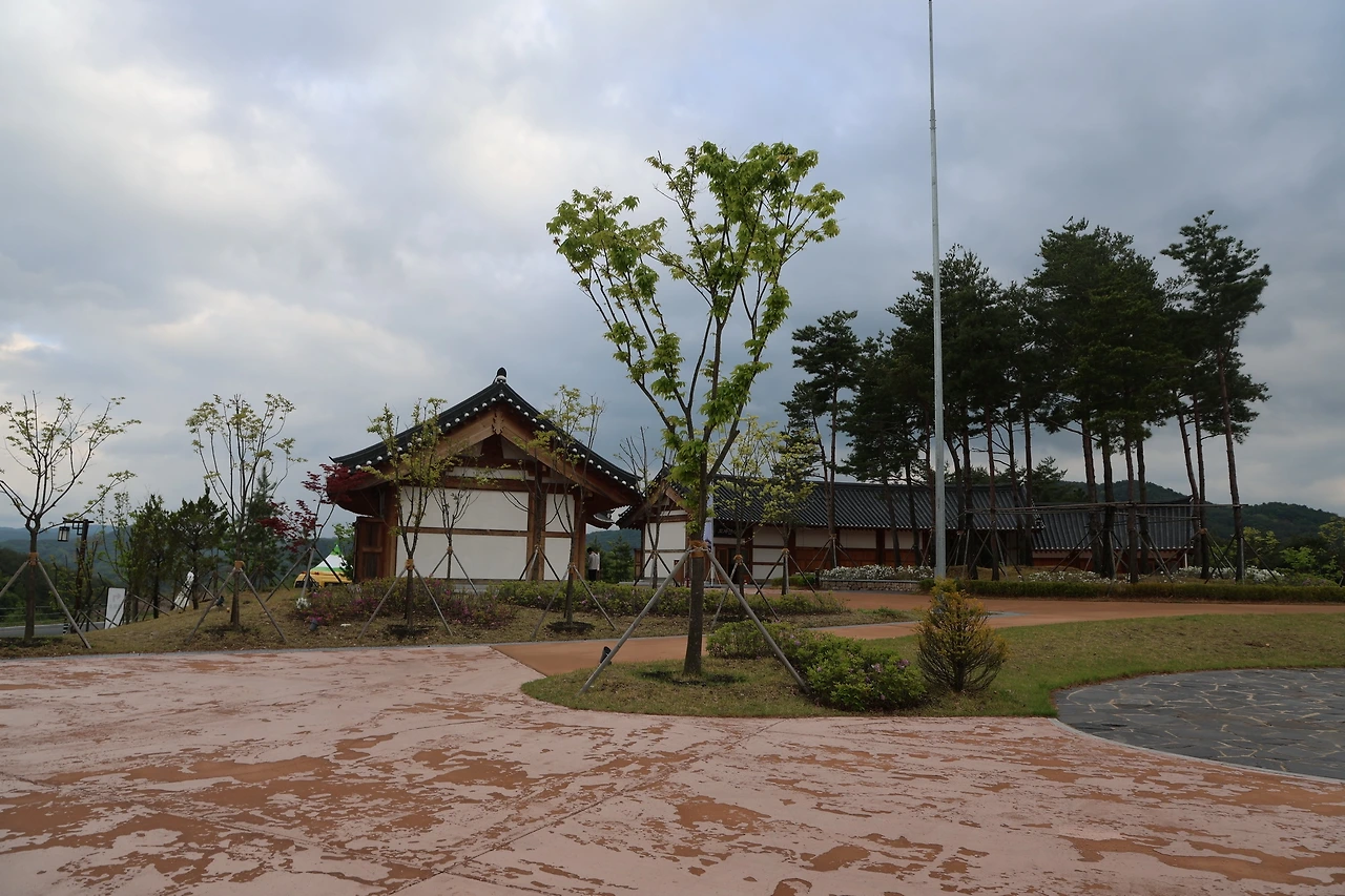 0R5A9301_новый размер.JPG