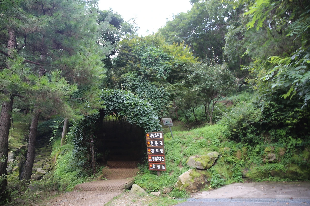 MG0A7889_новый размер.JPG