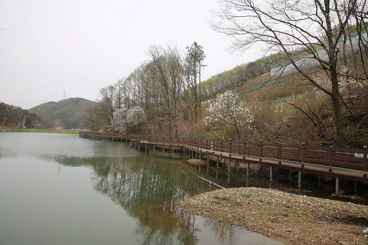 MG0A8599_новый размер.JPG