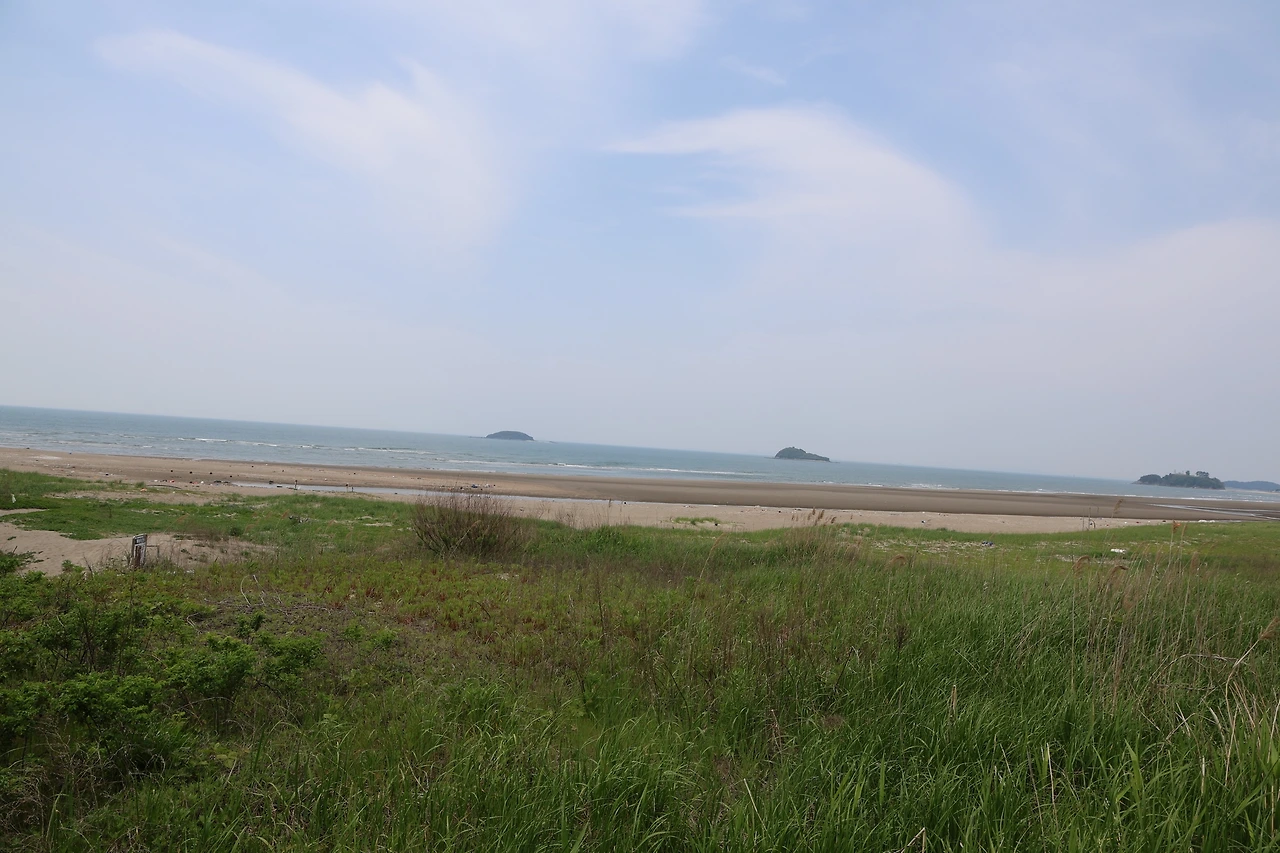 0R5A0379_новый размер.JPG