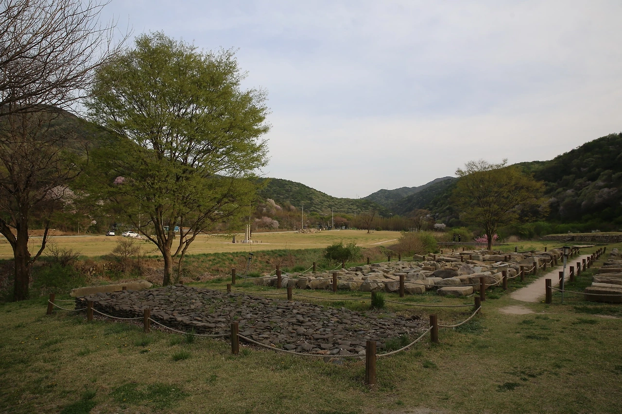 MG0A9485_новый размер.JPG