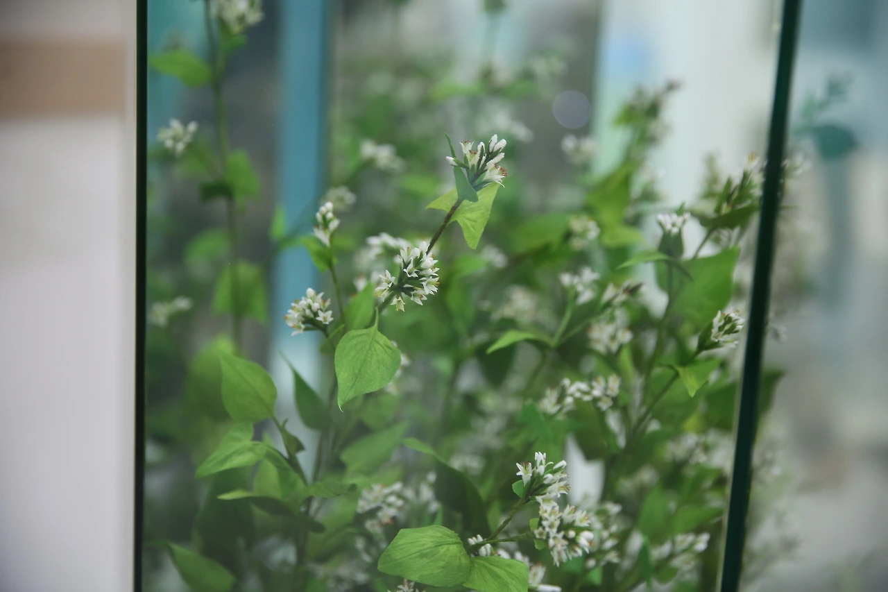 MG0A7789_новый размер.JPG