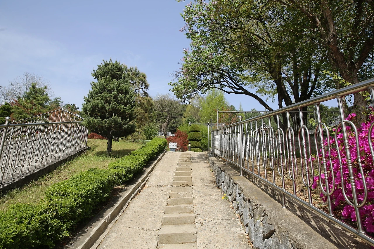 MG0A0289_новый размер.JPG