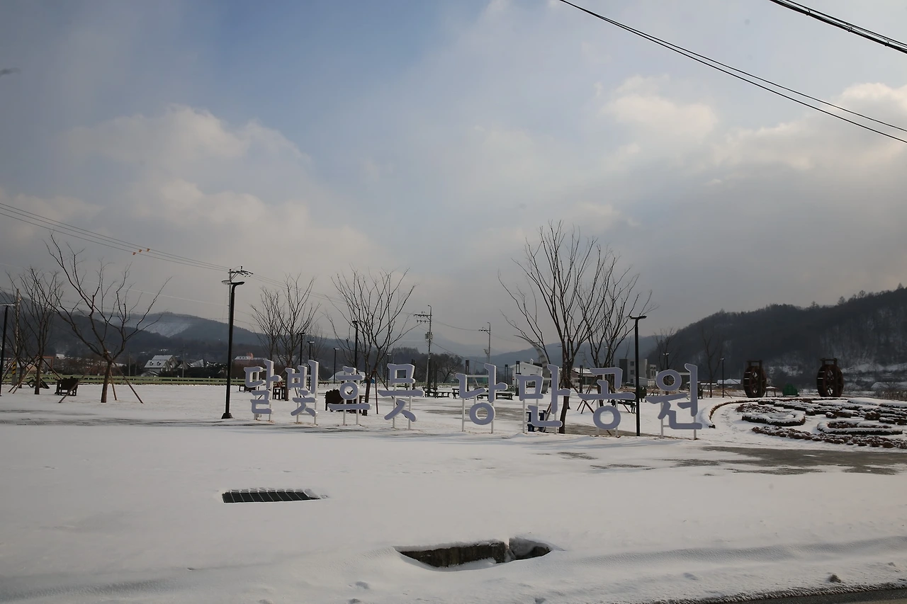 MG0A4347_новый размер.JPG