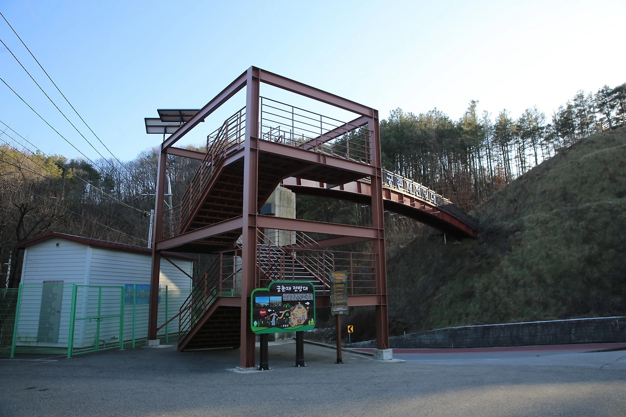 MG0A6074_новый размер.JPG