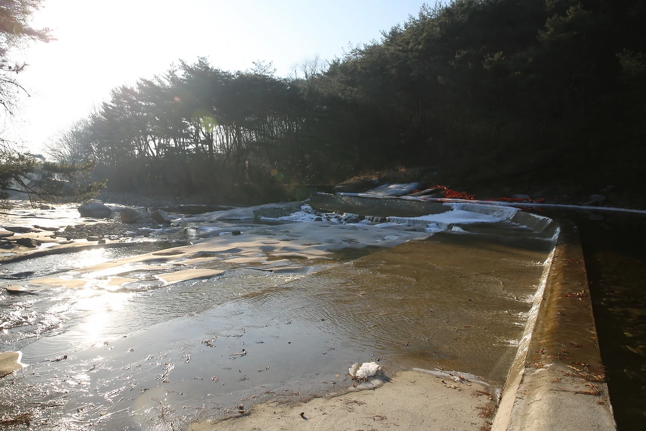 MG0A7626_новый размер.JPG