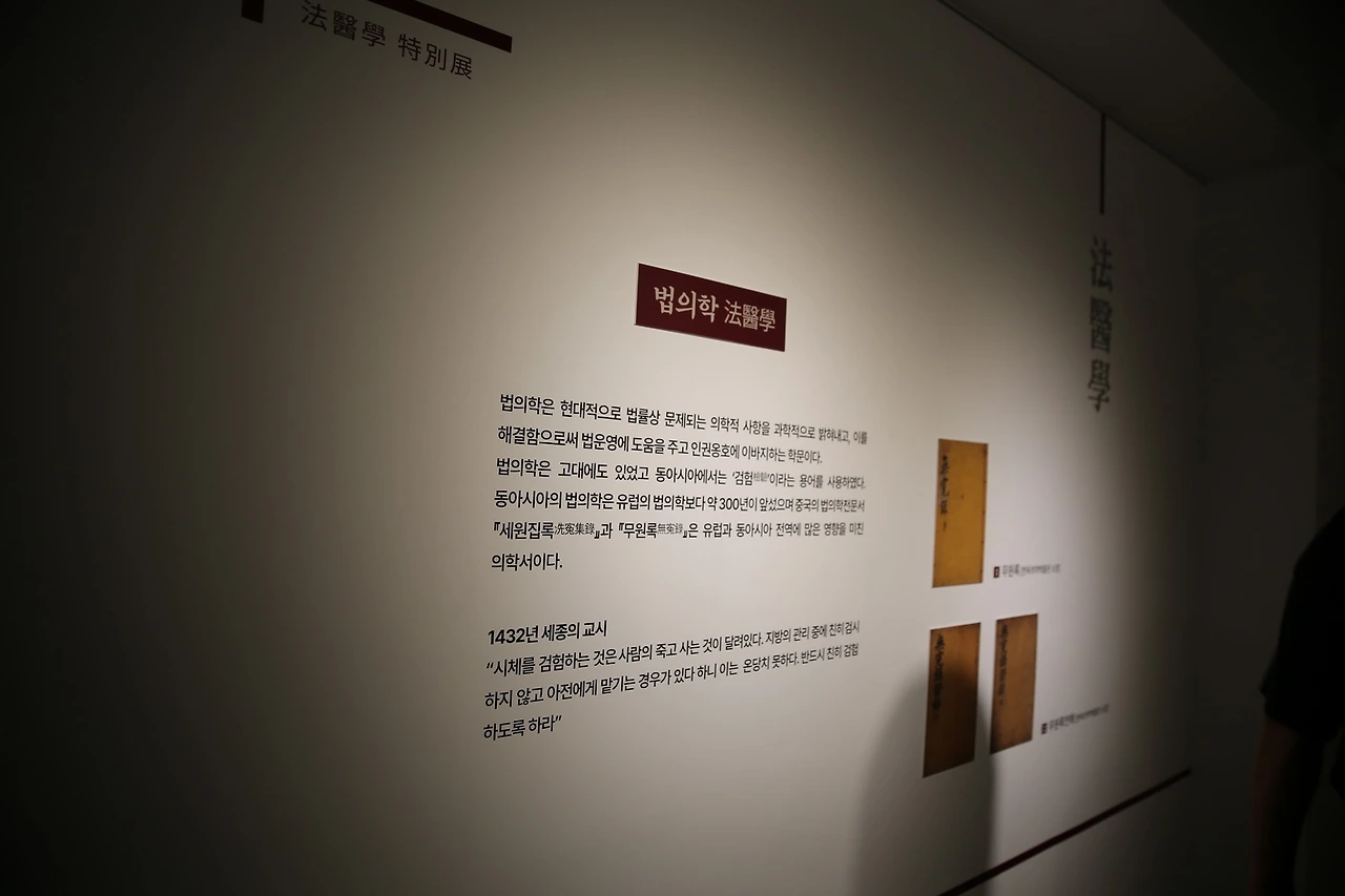 MG0A2962_новый размер.JPG