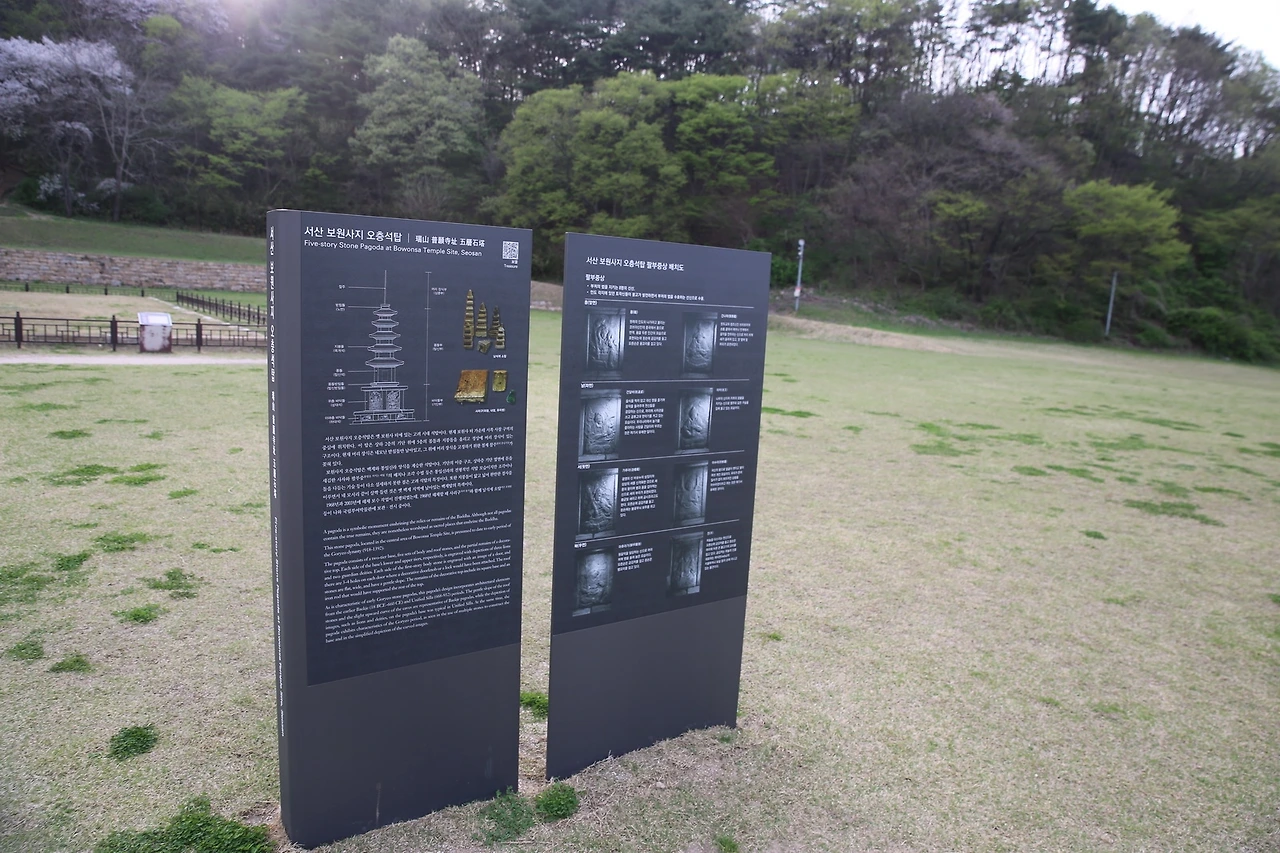 MG0A9492_новый размер.JPG