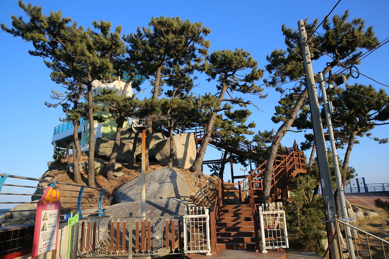 MG0A6688_новый размер.JPG