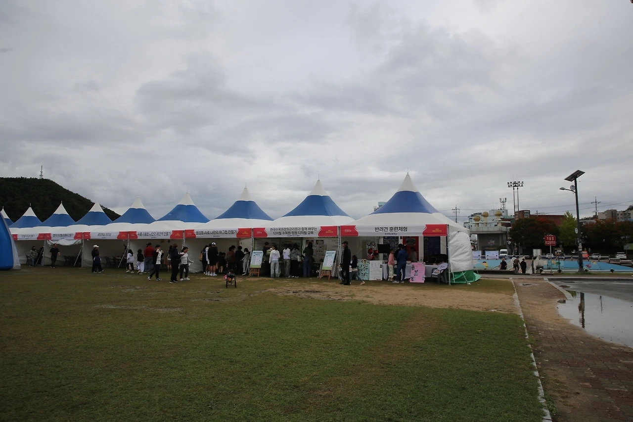 MG0A6346_новый размер.JPG