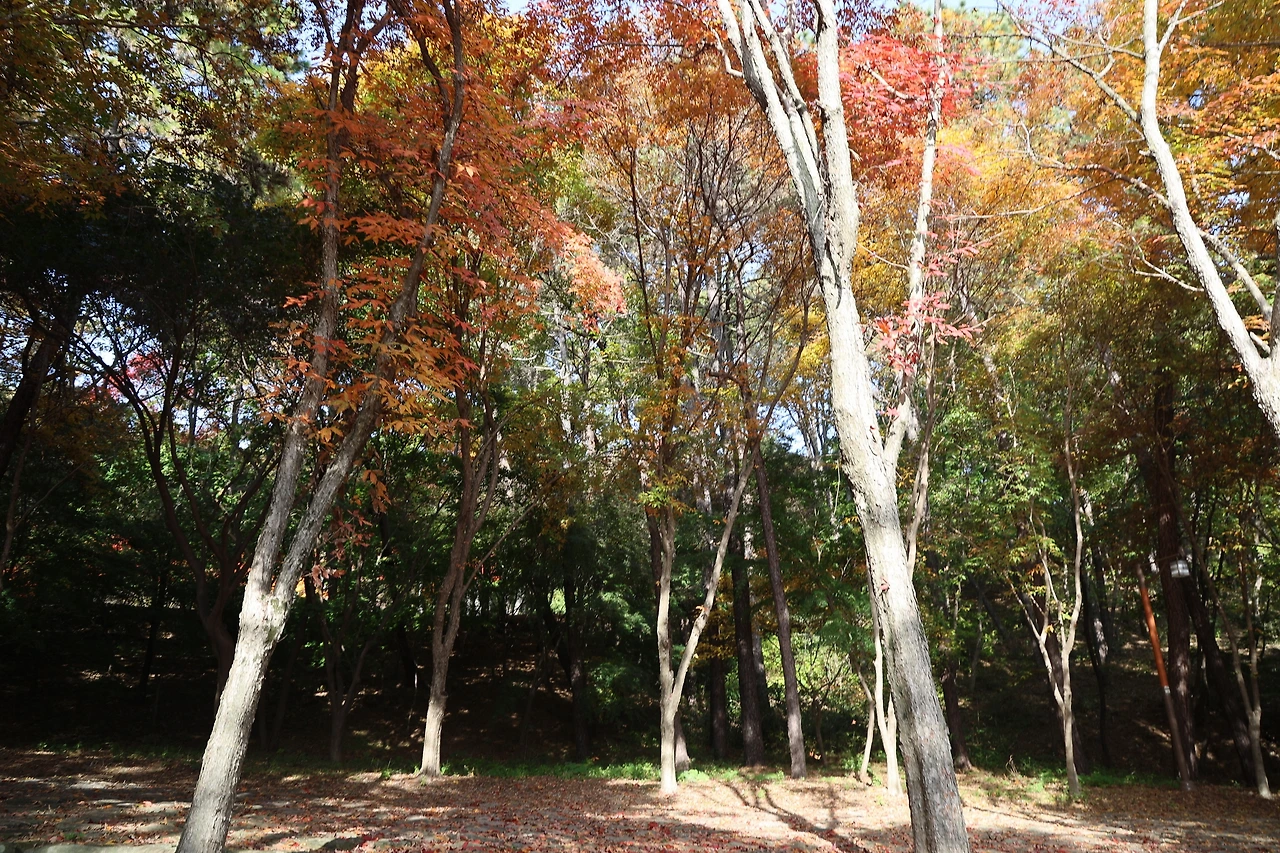 0R5A2384_новый размер.JPG