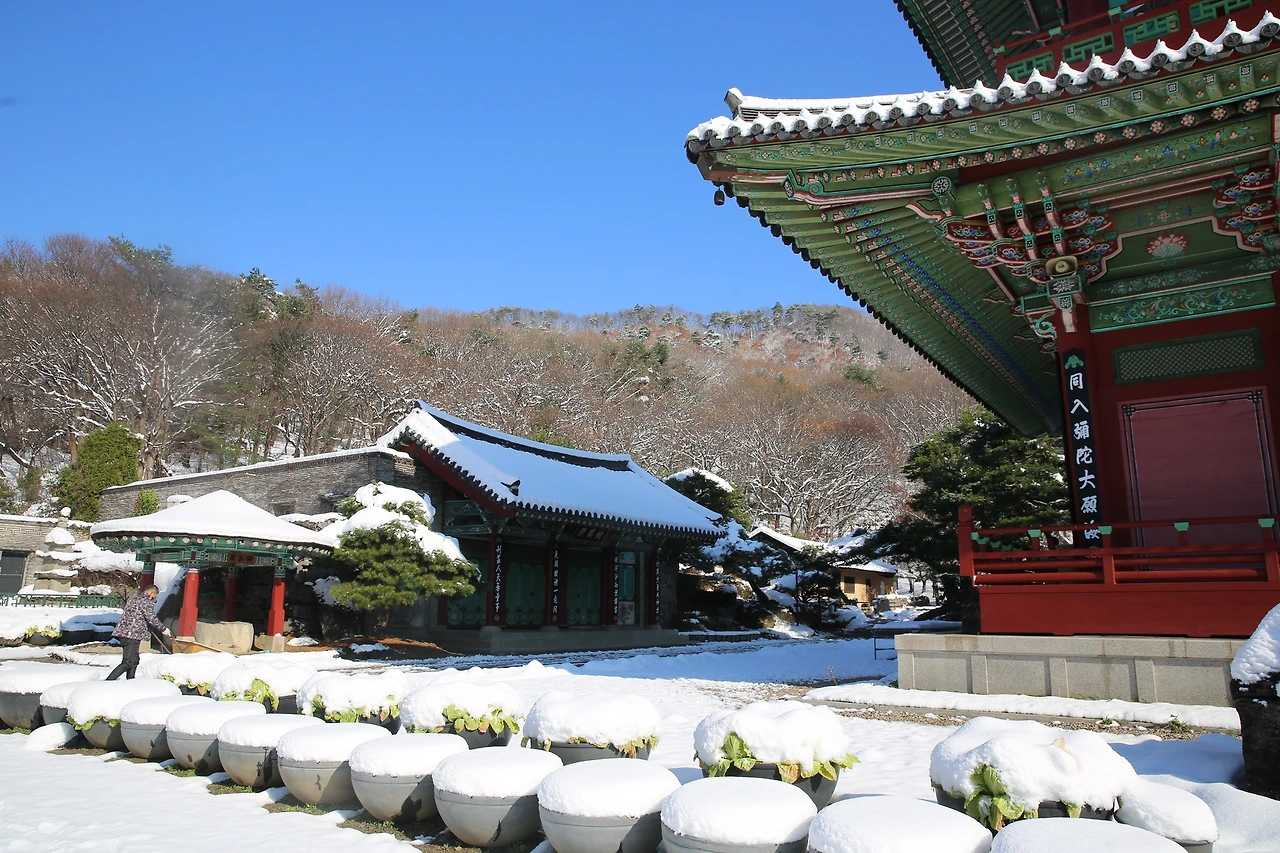 MG0A2342_новый размер.JPG