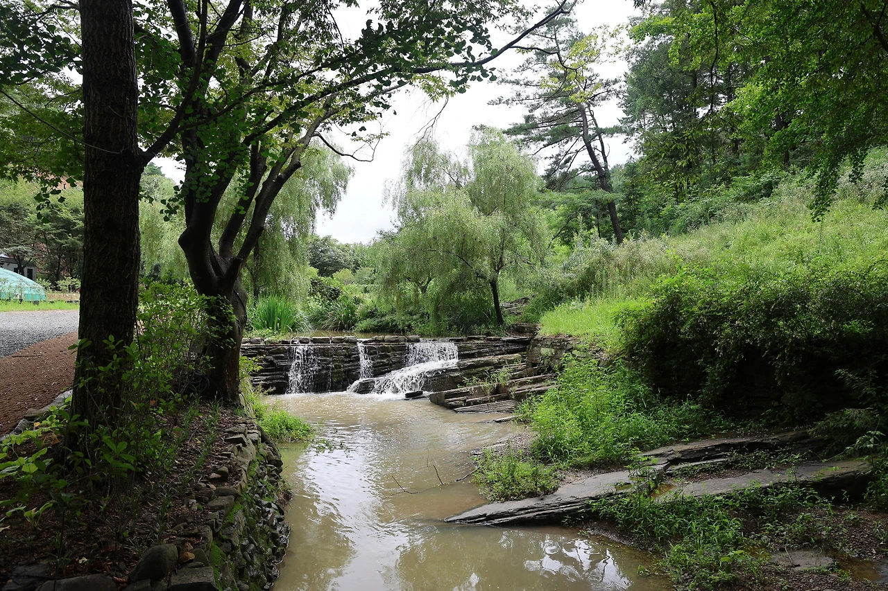 0R5A1562_новый размер.JPG