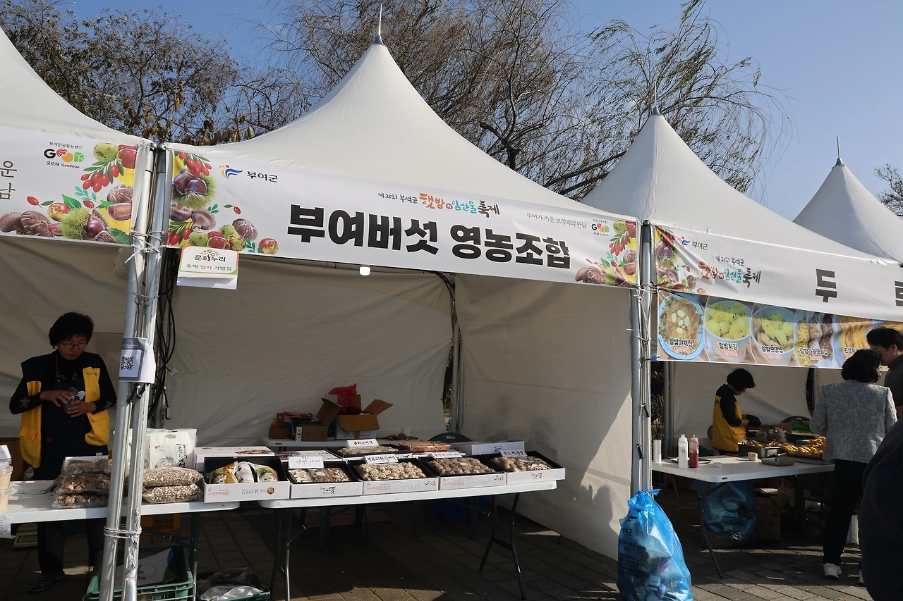 햇밤07.JPG
