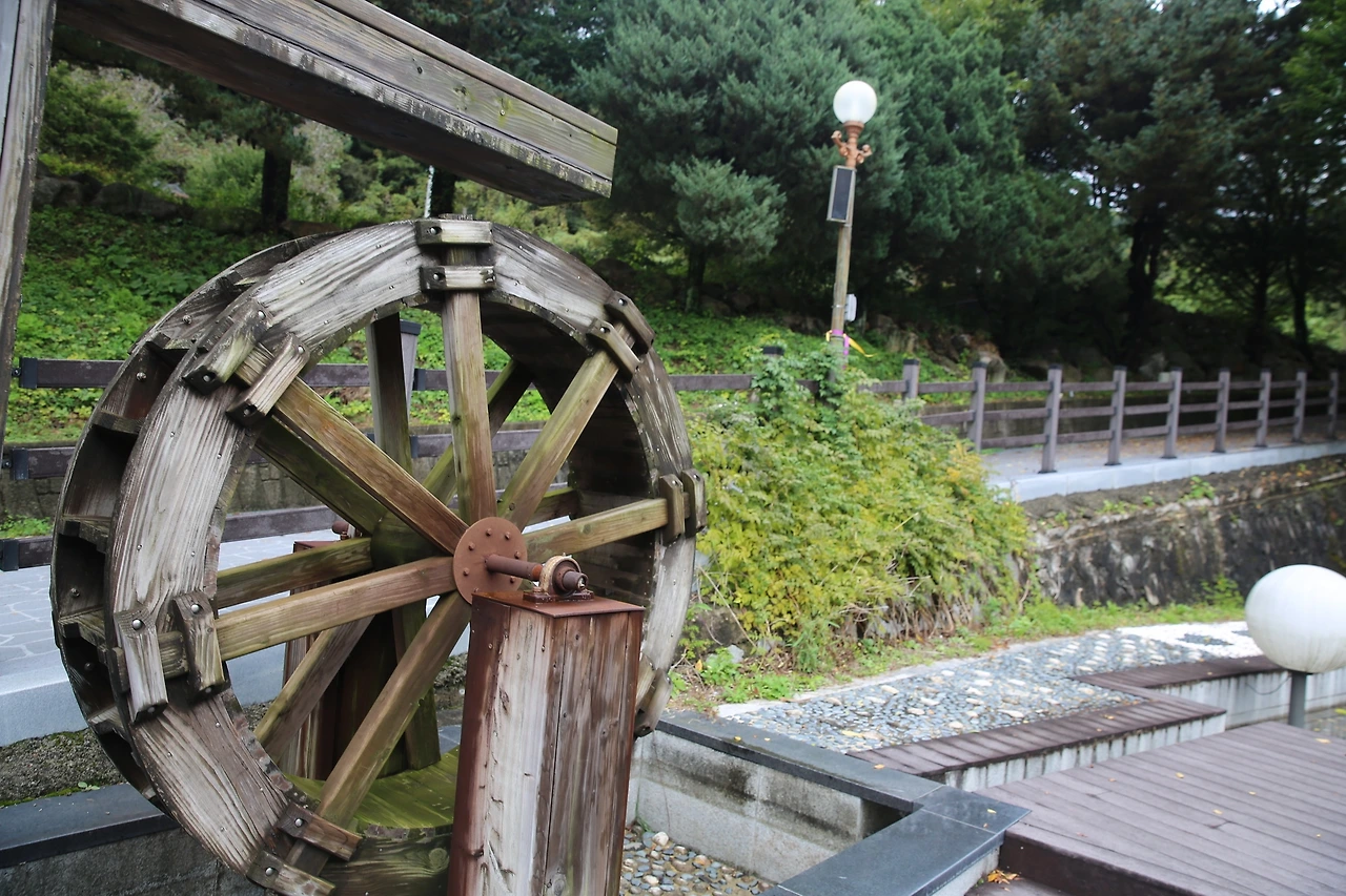 MG0A6319_новый размер.JPG