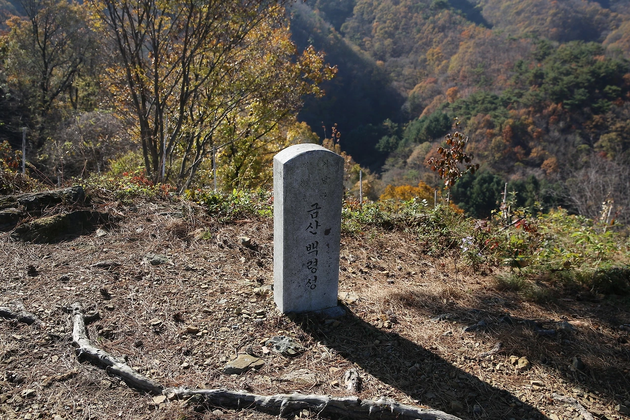 MG0A9993_новый размер.JPG