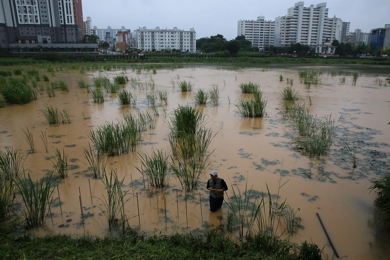 MG0A2495_новый размер.JPG